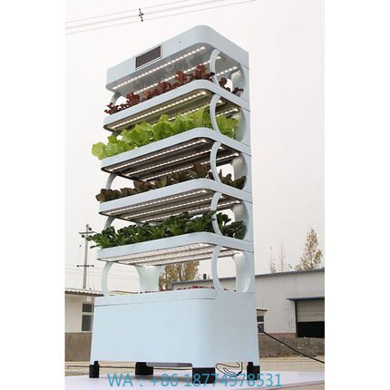 Smart Garden Diy - Systèmes de culture hydroponique pour la