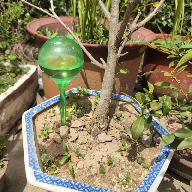 6 boules d'arrosage automatiqu - Yoocaa Smart Garden avis et prix