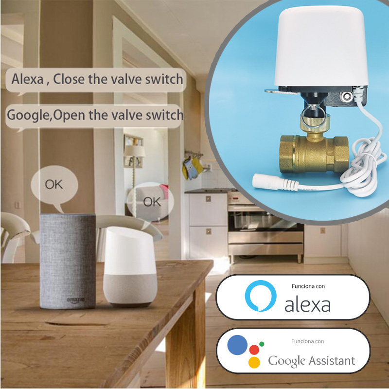 Minuteur d'arrosage intelligen - Smart Garden Iot avis et prix