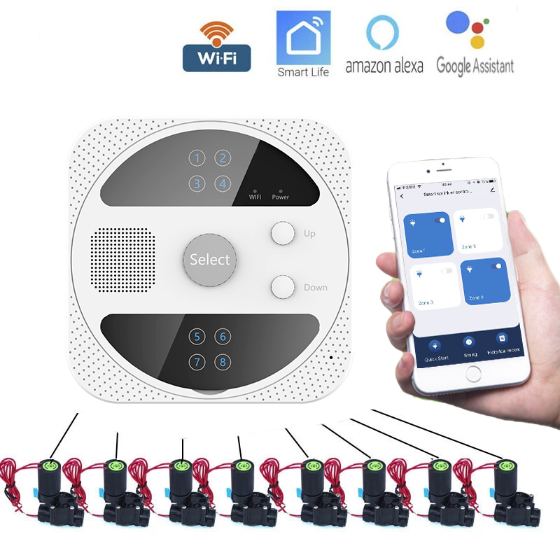Minuterie d'Arrosage Intellige - Smart Garden Iot avis et prix