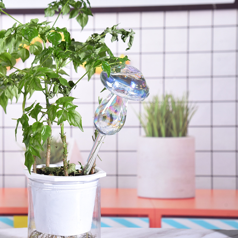 Ampoules d'arrosage automatiqu - Yoocaa Smart Garden avis et prix